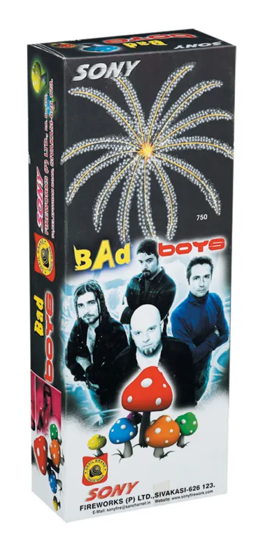 Bad Boys