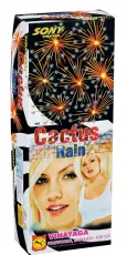 Cactus Rain