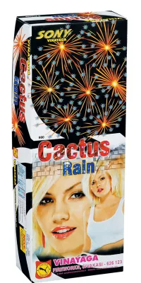 Cactus Rain