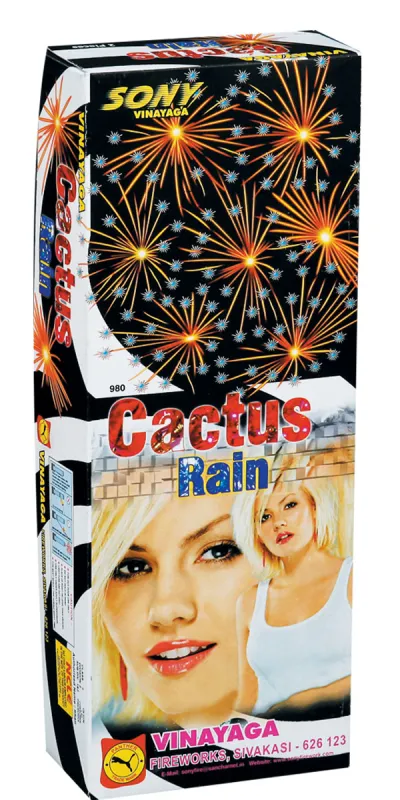 Cactus Rain