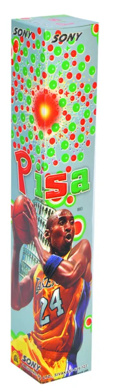 Pisa