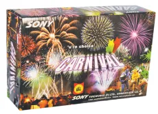 Carnival